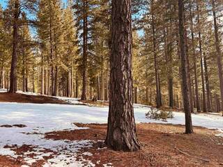 Listing Image 11 for 11360 Ghirard Road, Truckee, CA 96161