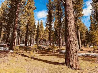 Listing Image 2 for 11360 Ghirard Road, Truckee, CA 96161