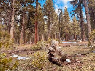 Listing Image 8 for 11360 Ghirard Road, Truckee, CA 96161
