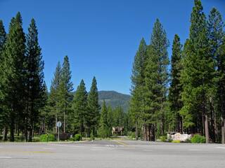 Listing Image 20 for 597 Miners Passage, Clio, CA 96106