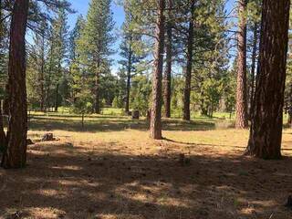 Listing Image 4 for 597 Miners Passage, Clio, CA 96106