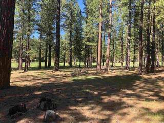 Listing Image 5 for 597 Miners Passage, Clio, CA 96106