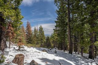 Listing Image 3 for 0000 Highway 49, Calpine, CA 96124