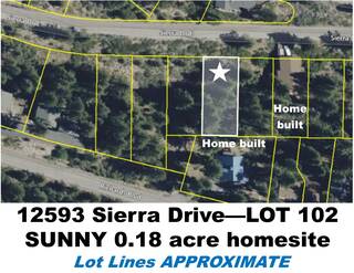 Listing Image 11 for 12593 Sierra Drive, Truckee, CA 96161