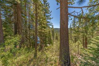 Listing Image 9 for 12593 Sierra Drive, Truckee, CA 96161