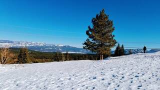 Listing Image 5 for 13725 Skislope Way, Truckee, CA 96161-0000