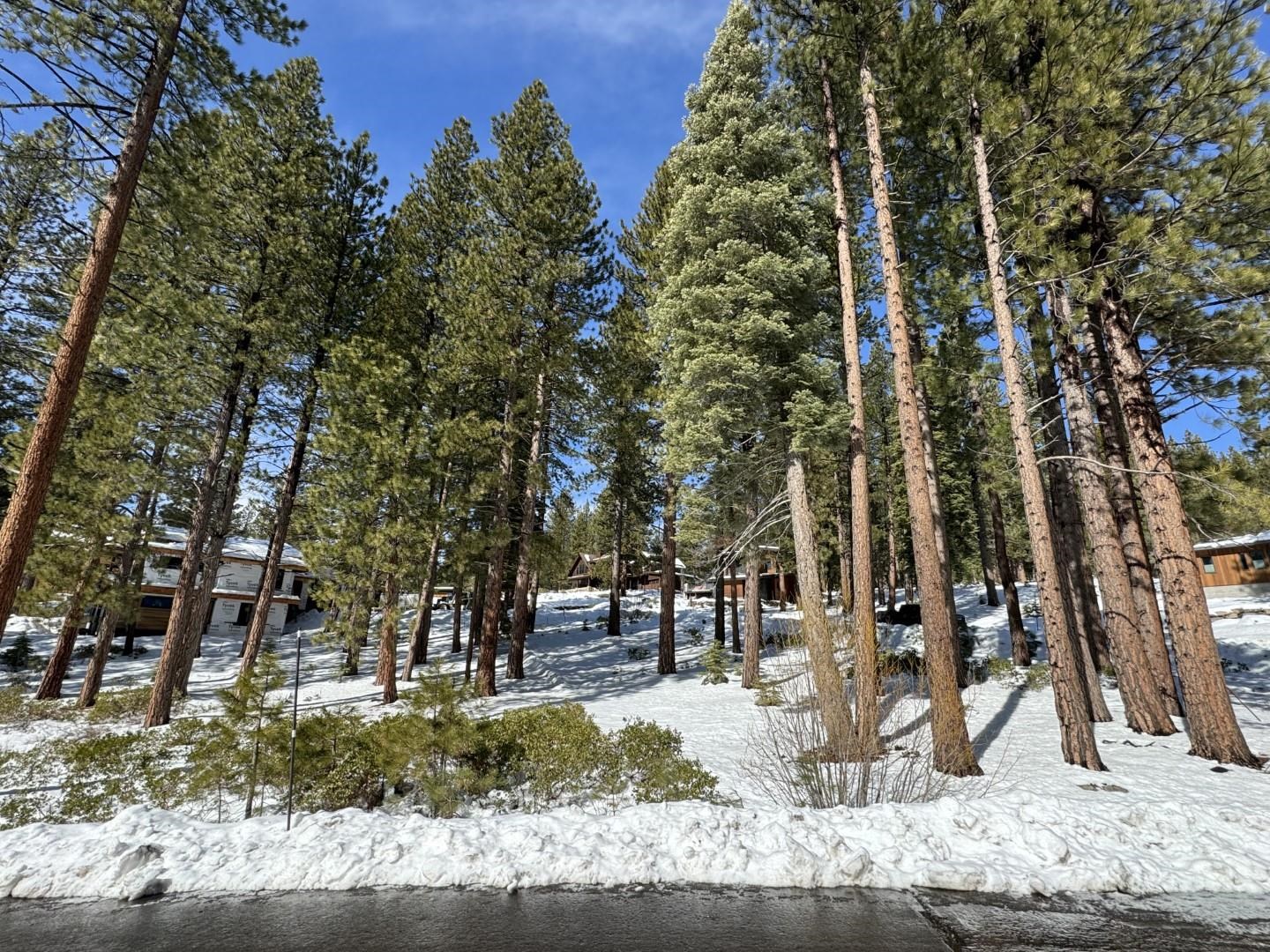 Image for 11762 Coburn Drive, Truckee, CA 96161