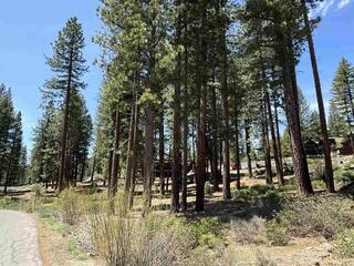 Listing Image 12 for 11762 Coburn Drive, Truckee, CA 96161