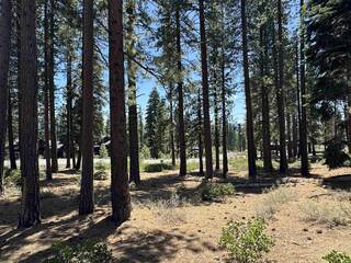 Listing Image 5 for 11762 Coburn Drive, Truckee, CA 96161