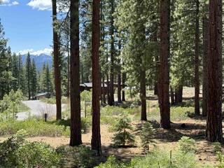 Listing Image 6 for 11762 Coburn Drive, Truckee, CA 96161