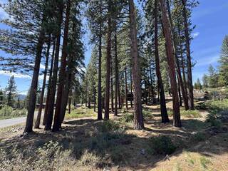 Listing Image 10 for 11762 Coburn Drive, Truckee, CA 96161