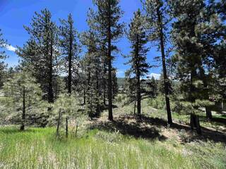Listing Image 17 for 15865 Exeter Court, Truckee, CA 96161-1560