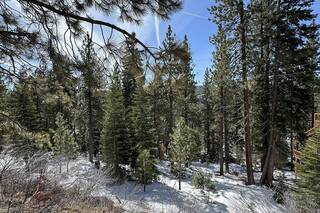 Listing Image 5 for 12551 E Sierra Drive, Truckee, CA 96161