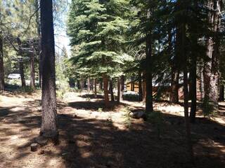Listing Image 11 for 17249 Northwoods Boulevard, Truckee, CA 96161