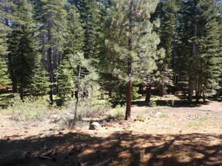 Listing Image 13 for 17249 Northwoods Boulevard, Truckee, CA 96161