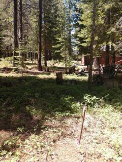 Listing Image 14 for 17249 Northwoods Boulevard, Truckee, CA 96161