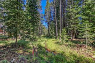 Listing Image 3 for 17249 Northwoods Boulevard, Truckee, CA 96161