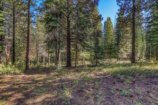 Listing Image 4 for 17249 Northwoods Boulevard, Truckee, CA 96161