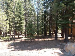 Listing Image 9 for 17249 Northwoods Boulevard, Truckee, CA 96161