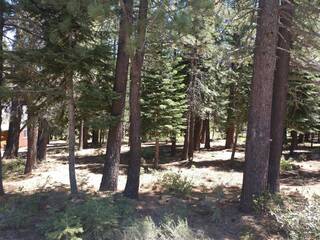 Listing Image 10 for 17249 Northwoods Boulevard, Truckee, CA 96161