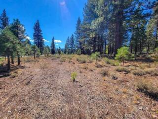 Listing Image 8 for 13131 Snowshoe Thompson, Truckee, CA 96161-0000