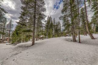 Listing Image 12 for 21406 Donner Pass Road, Soda Springs, CA 95728-9998