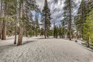 Listing Image 14 for 21406 Donner Pass Road, Soda Springs, CA 95728-9998