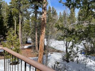 Listing Image 16 for 7110 State Highway 89, Tahoma, CA 96142-0000