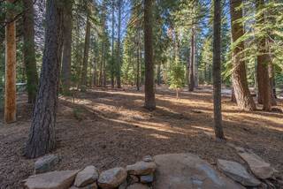 Listing Image 21 for 14249 Glacier View Road, Truckee, CA 96161-0000