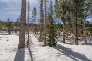 Listing Image 11 for 10011 Spruce Court, Soda Springs, CA 95728