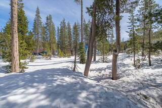 Listing Image 4 for 10011 Spruce Court, Soda Springs, CA 95728