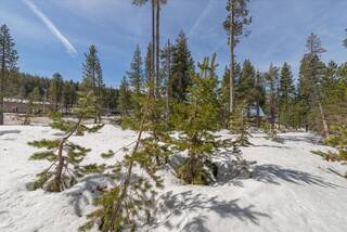 Listing Image 5 for 10011 Spruce Court, Soda Springs, CA 95728