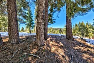 Listing Image 9 for 13719 Pathway Avenue, Truckee, CA 96161-0000