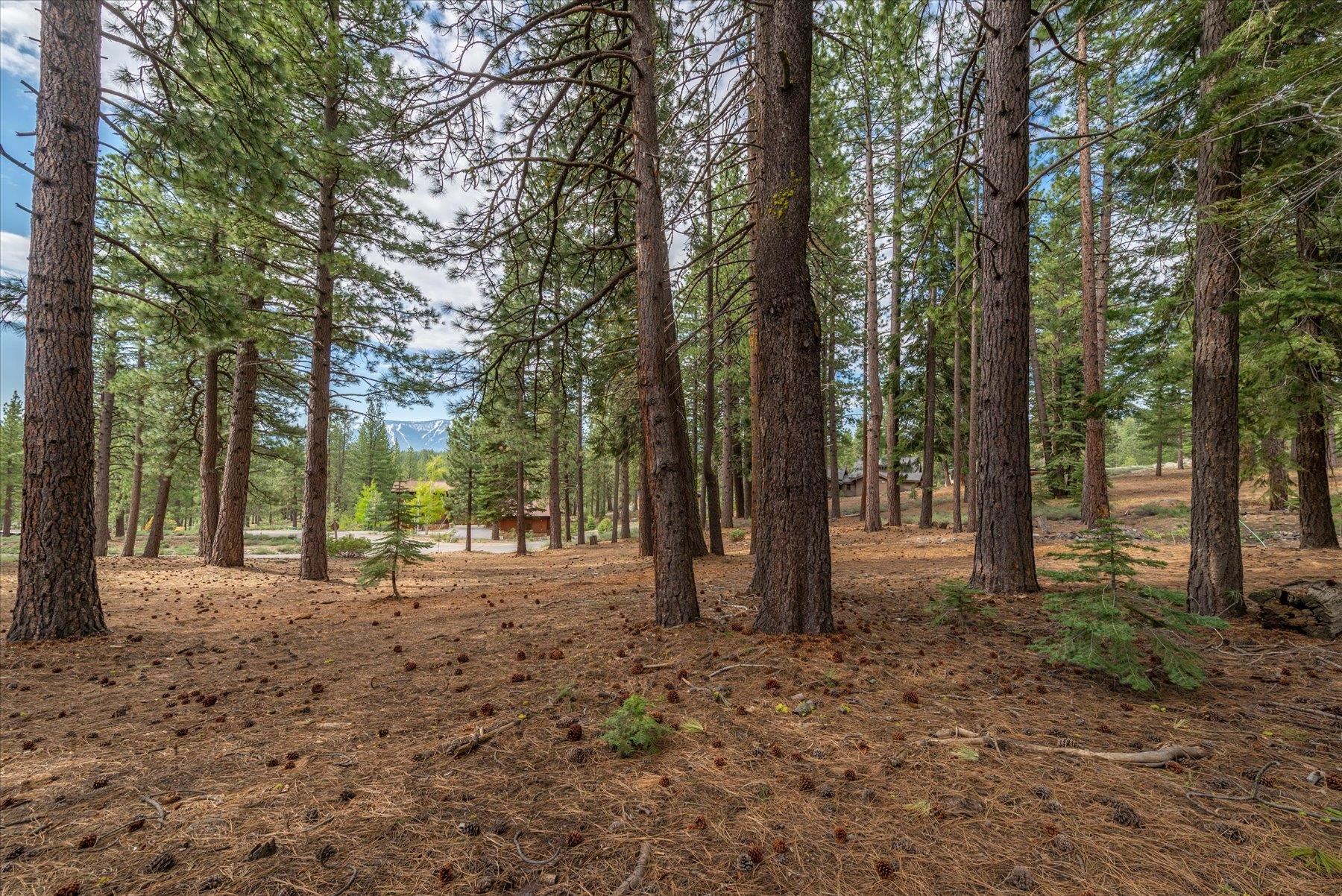 Image for 11464 China Camp Road, Truckee, CA 96161