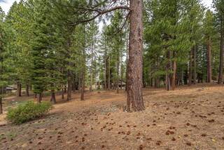 Listing Image 15 for 11464 China Camp Road, Truckee, CA 96161