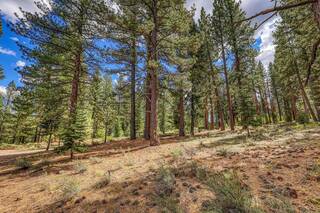 Listing Image 11 for 13257 Snowshoe Thompson, Truckee, CA 96161