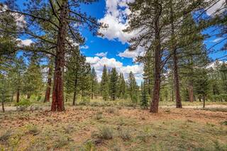 Listing Image 12 for 13257 Snowshoe Thompson, Truckee, CA 96161
