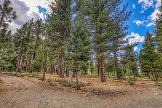 Listing Image 10 for 13257 Snowshoe Thompson, Truckee, CA 96161