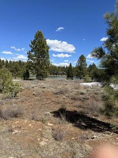 Listing Image 13 for 950 Paul Doyle, Truckee, CA 96161