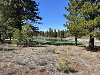 Listing Image 4 for 950 Paul Doyle, Truckee, CA 96161