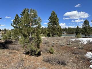 Listing Image 9 for 950 Paul Doyle, Truckee, CA 96161