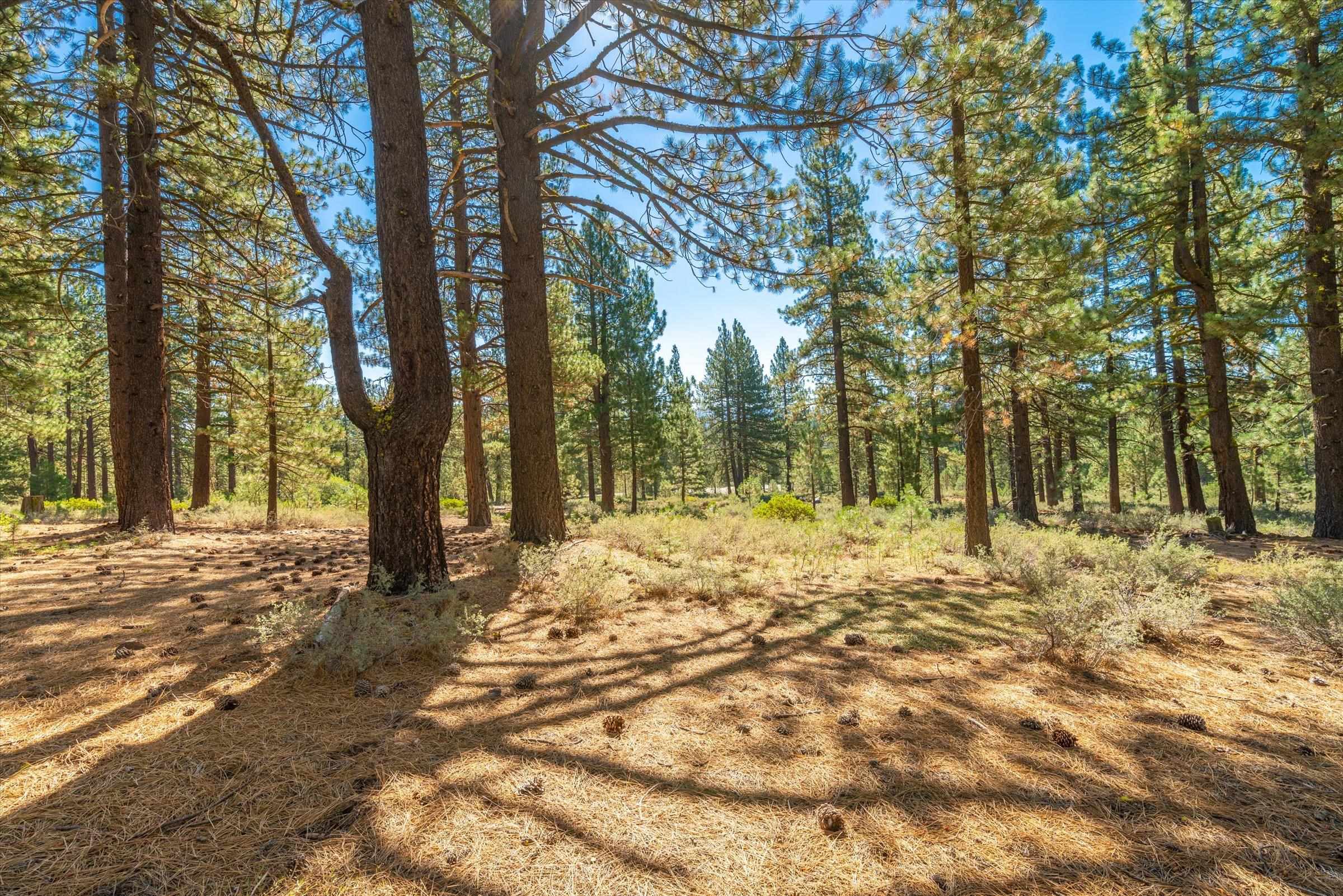 Image for 10551 Brickell Court, Truckee, CA 96161
