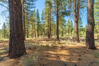 Listing Image 9 for 10551 Brickell Court, Truckee, CA 96161