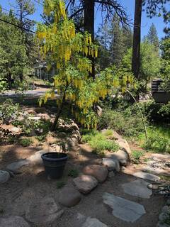 Listing Image 19 for 3070 Meadowbrook Drive, Tahoe City, CA 96145