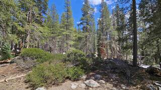 Listing Image 3 for 10060 Bunny Hill Road, Soda Springs, CA 95728