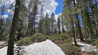 Listing Image 5 for 10060 Bunny Hill Road, Soda Springs, CA 95728
