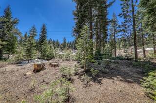 Listing Image 15 for 16859 Northwoods Boulevard, Truckee, CA 96161-0000