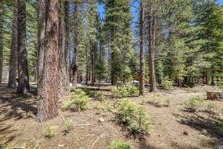 Listing Image 16 for 16859 Northwoods Boulevard, Truckee, CA 96161-0000