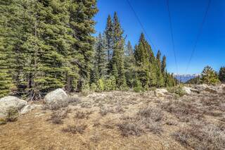 Listing Image 18 for 16859 Northwoods Boulevard, Truckee, CA 96161-0000
