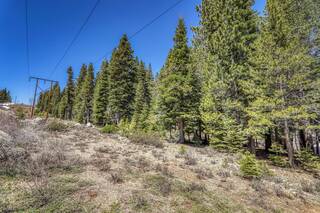Listing Image 19 for 16859 Northwoods Boulevard, Truckee, CA 96161-0000